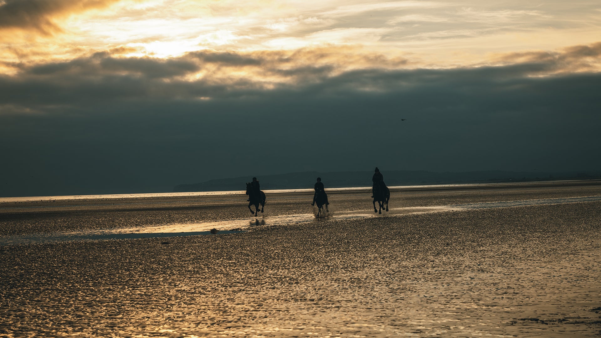 Photography With Gearing - Horses On The Beach