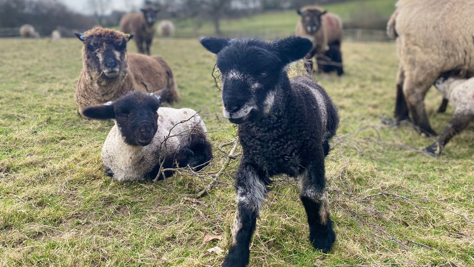 Photographing With Gearing - Spring Is Here!